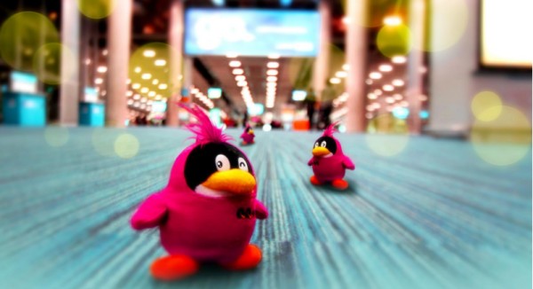 你觉得QQ等级是否与使用者的年龄挂钩