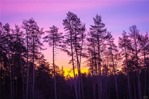 最近微信很火的爱情说说句句精辟洒脱!