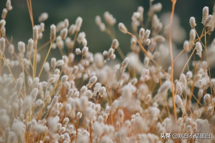 微信式的爱情:见面好说分手一段感情才能真正的结束