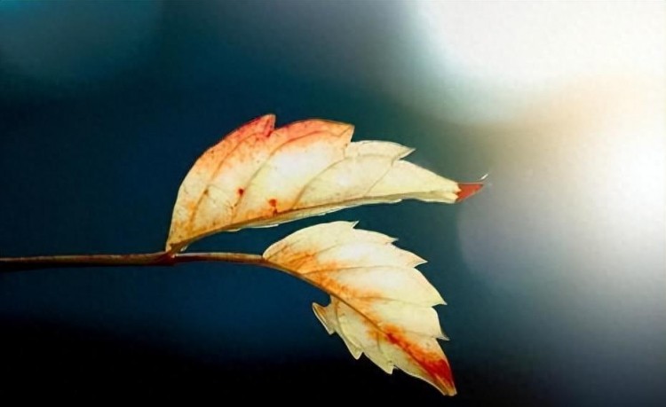 微信爱情大揭秘：谁最关注你的一举一动！